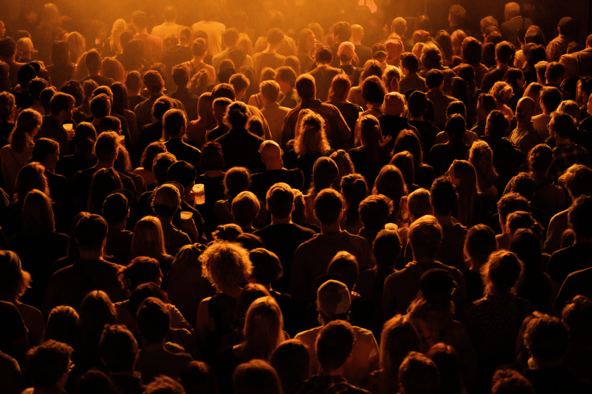 Busy concert crowd