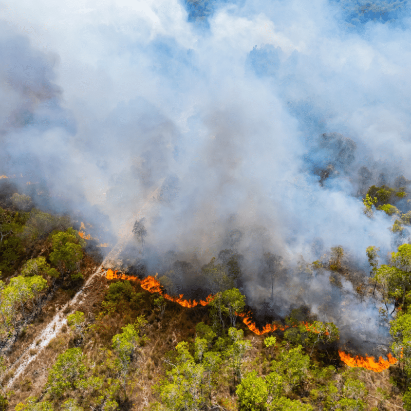 Wildfires - emergency planning